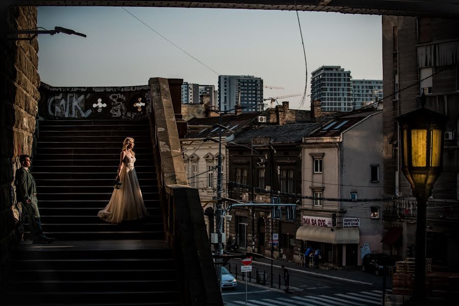 Fotógrafo de casamento Vladimir Milojkovic (mvladimir). Foto de 19 de novembro 2020