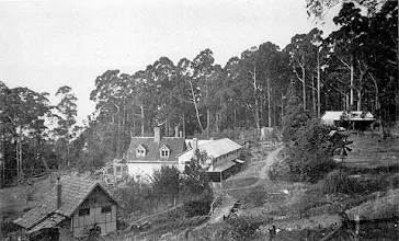 McCubbin_fountainebleau early photo c1920