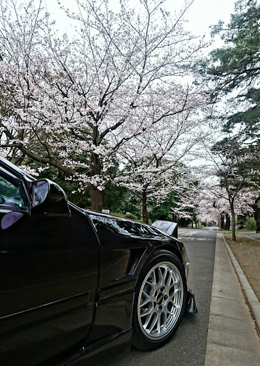 RX-7のさくら～・画像編集様々に関するカスタム事例の投稿画像3枚目
