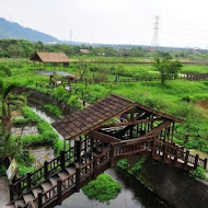 馬太鞍欣綠農園