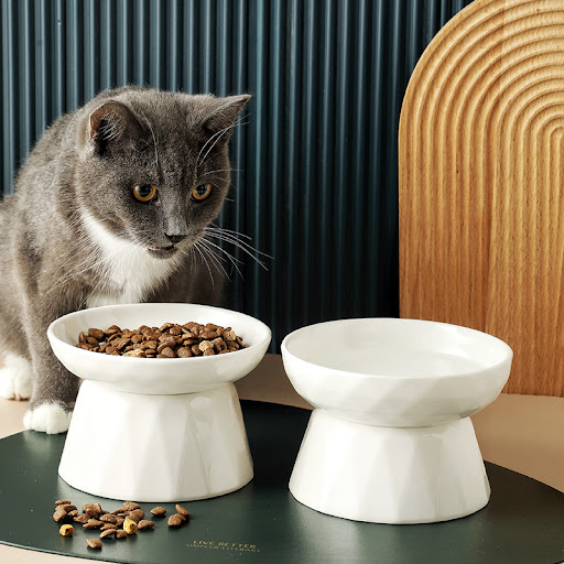 Title 4, Cat Bowl Protects Spine. Ergonomic design for a...