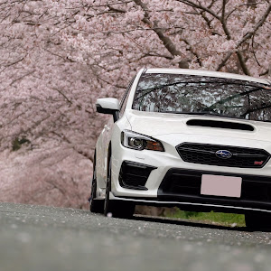 WRX STI VAB