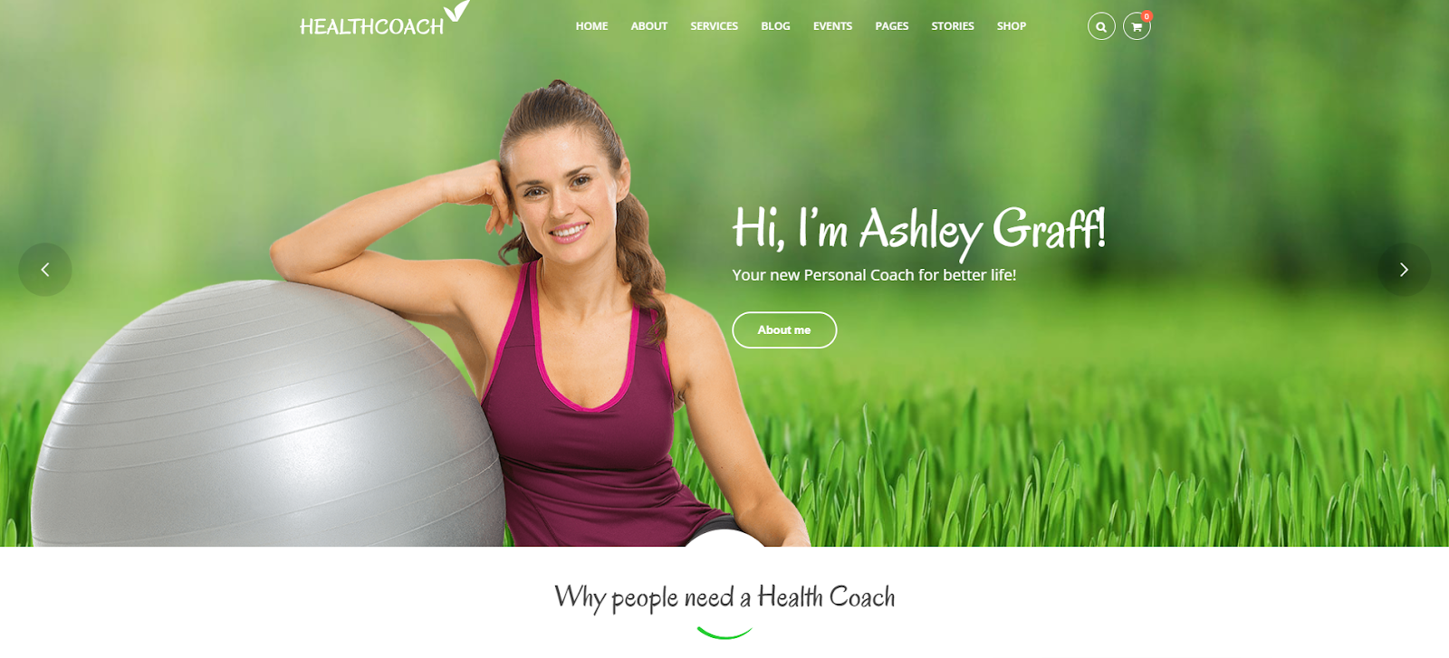 Health Coach Theme