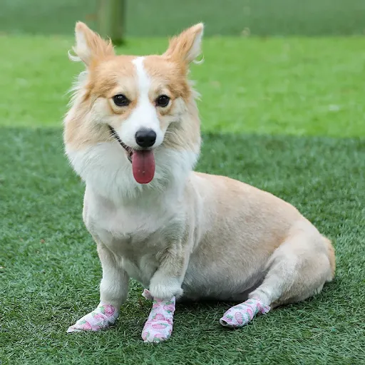 Pet Dog Waterproof Feet Cover DIY Dog Shoes for Hot Pavement Disposable Boots Wrap Bandage Outdoor Paw Protectors Tape