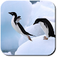 Penguin Wallpapers Download on Windows