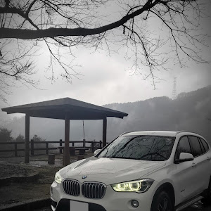 X1 xDrive 20i