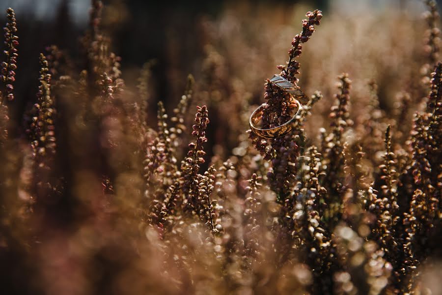 Düğün fotoğrafçısı Ivan Ilin (snimykrasivo). 13 Kasım 2019 fotoları