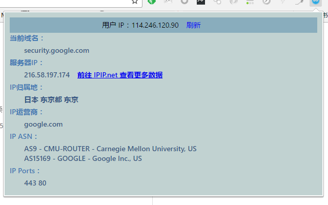 WebSite IP Information Query Preview image 1