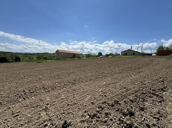 terrain à Cremeaux (42)