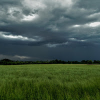 Verde di PiAnURA di 