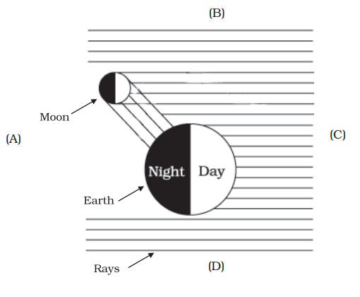 Moon and its Phases