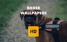 Boxer Wallpaper HD New Tab Theme small promo image