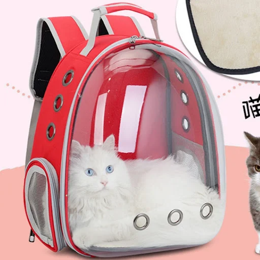 Capsule Bubble Pet Backpack Small Cat Pet Carrier Backpack Transparent Animal Puppy Kitty Bird Breathable Pet Carrier fo