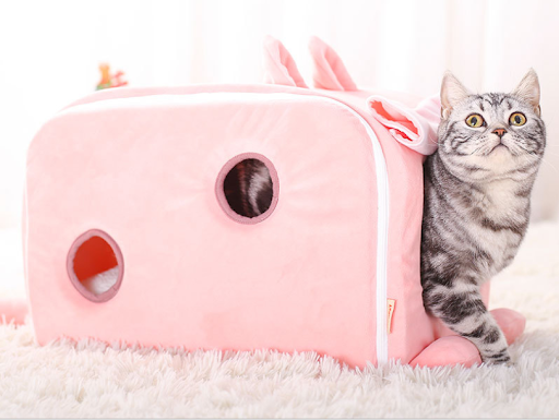 Title 3, Winter cat litter Absorbs odors and moisture, s...