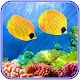 Download Colorful cute underwater fish koi wallpaper For PC Windows and Mac 1.5