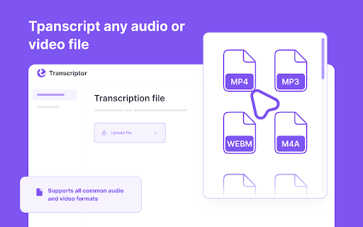 Audio Transkriptor: Audio to Text