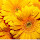 Yellow color hot colors HD New Tab Page Theme