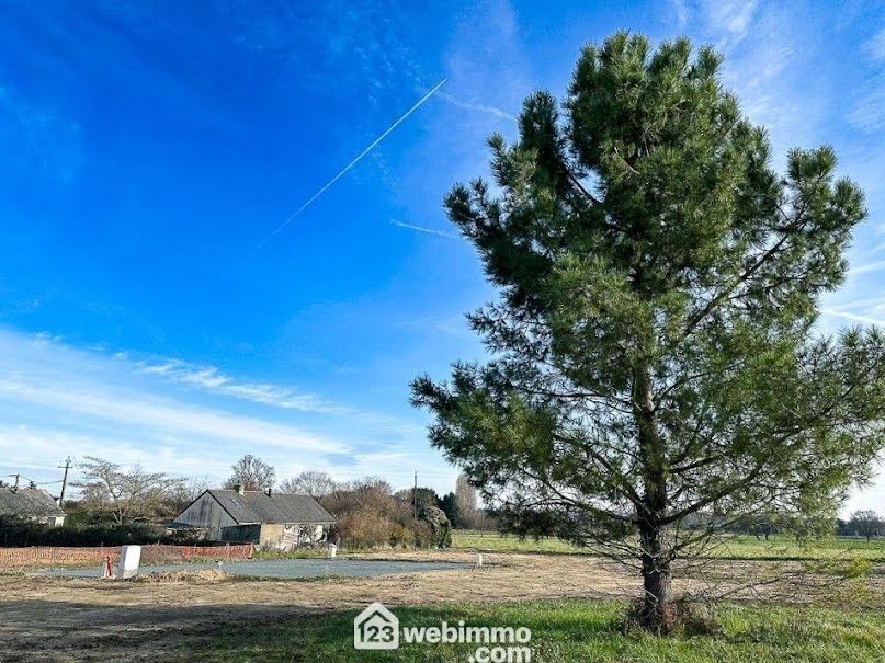 Vente terrain  539 m² à Mazé-Milon (49630), 52 902 €