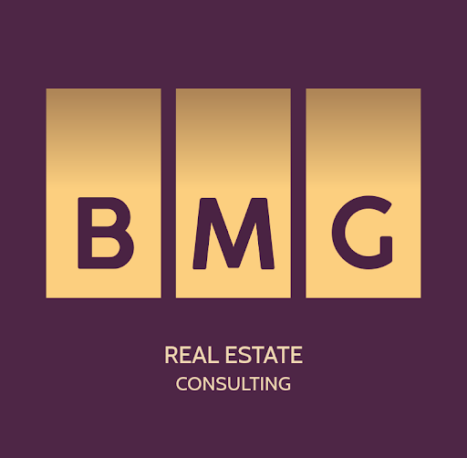 Logo de BMG CONSULTING
