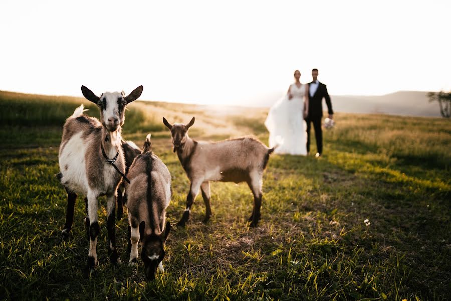 Fotografer pernikahan Sylwia Kimla (sylwiakimla). Foto tanggal 12 Oktober 2020