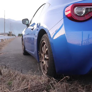 BRZ ZC6