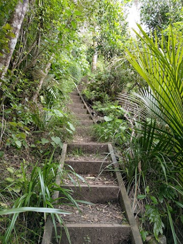 Te Whara Track Stairways