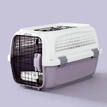 B Purple