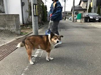 学校あるある！