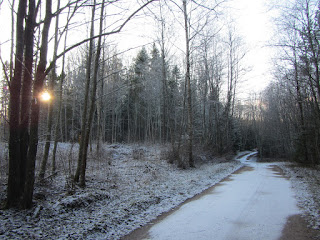 metsatee Ketneri lähedal