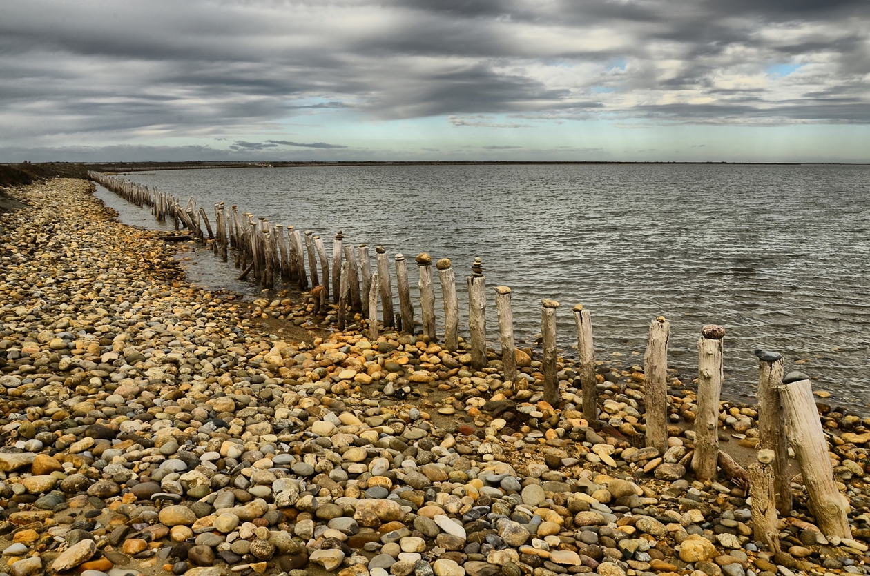 CAMARGUE di tizianadesy