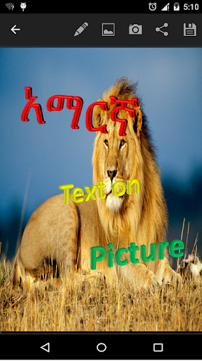 amharic text on picture