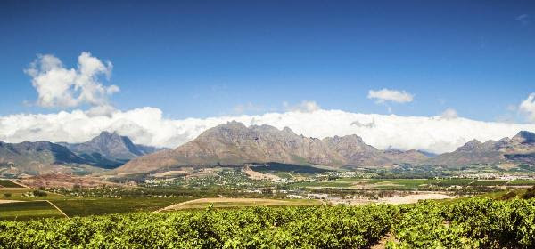     Stellenbosch