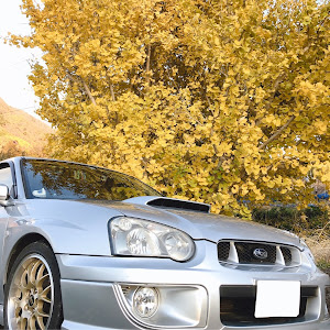 インプレッサ WRX GDA