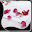 Petals Live Wallpapers Download on Windows