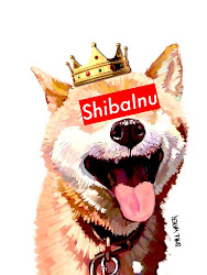 Supreme Shiba