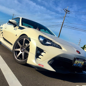 86 ZN6