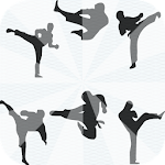 Cover Image of Download Taekwondo Training step 31.6.13 APK