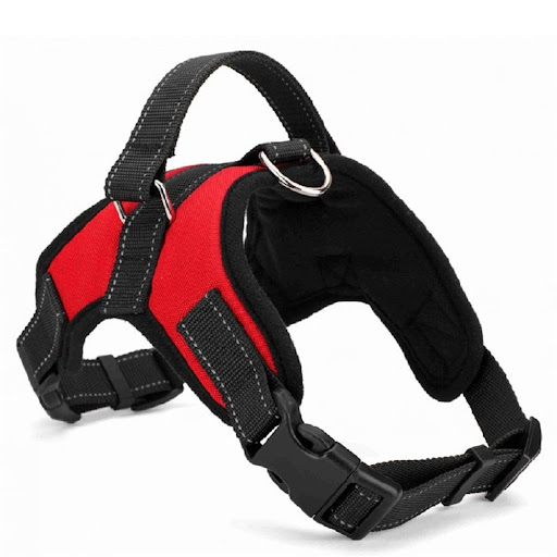 Title 1, Medium and Large Dog Collar for secure and comf...