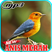 Kicau Terapi Burung Anis Merah Mp3  Icon