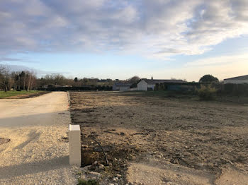 maison neuve à Meschers-sur-Gironde (17)