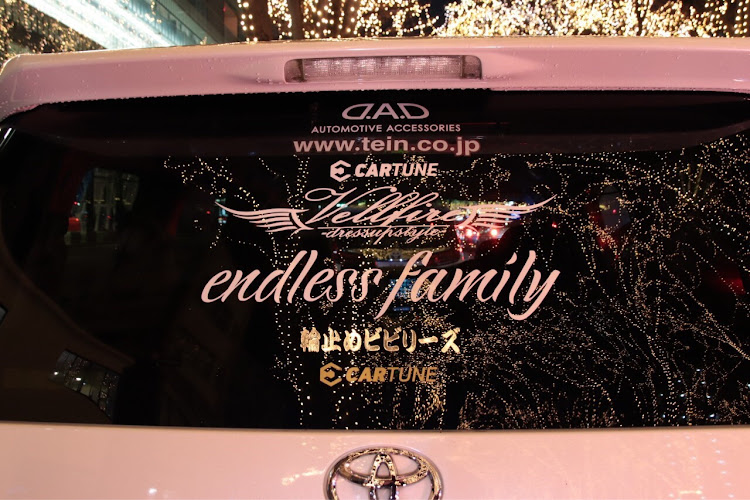 ヴェルファイアの地べた撮り・endless family・輪止めビビリーズ・仙台光のページェントに関するカスタム事例の投稿画像2枚目