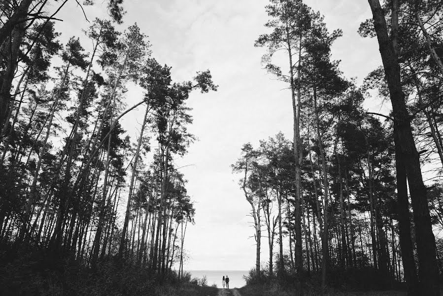 Vestuvių fotografas Sergey Galushka (sgfoto). Nuotrauka 2017 balandžio 18