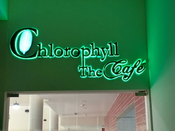 Chlorophyll - The Cafe photo 