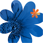 Cover Image of Unduh Lovelace Connect 10.0.150 APK