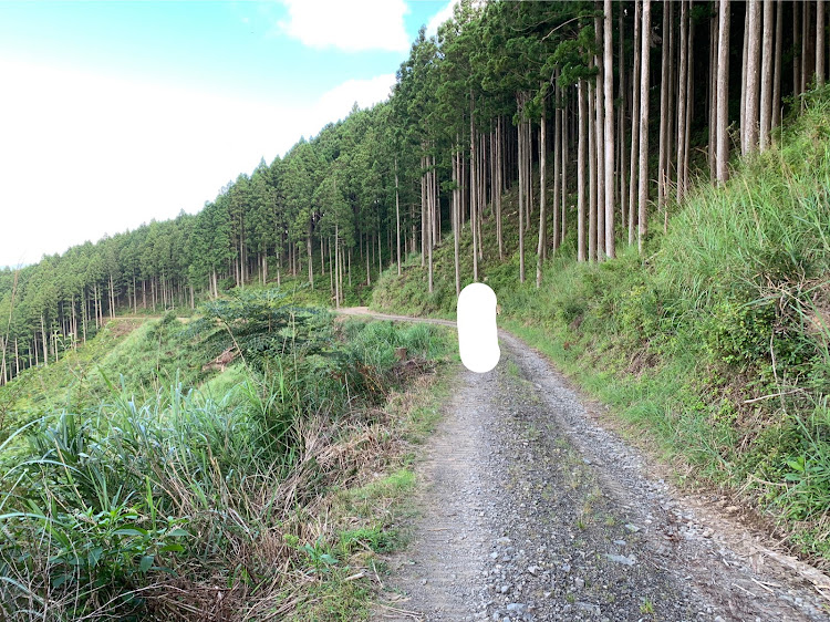 エスケープのポテンシャル最高・オフロード初挑戦・天竜川・山登りに関するカスタム事例の投稿画像21枚目