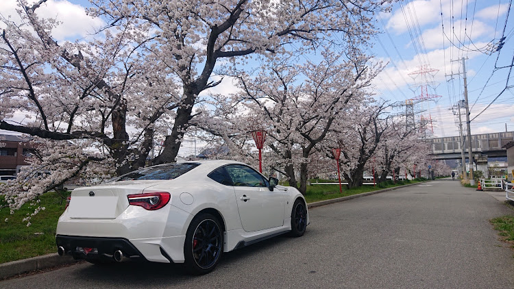 86の86後期・86・86乗りの方と繋がりたい・桜と愛車・コロナウイルスに負けるなに関するカスタム事例の投稿画像3枚目