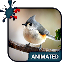 Bird Live Wallpaper + Keyboard