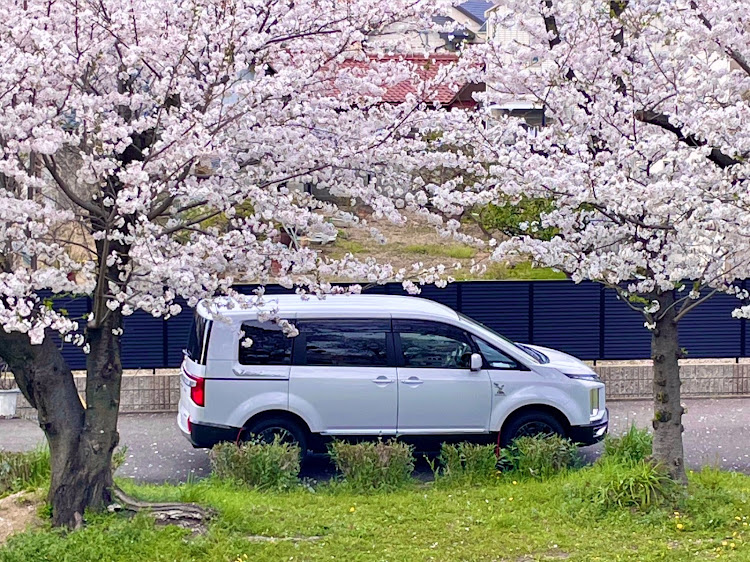 デリカD:5のサクラと愛車に関するカスタム事例の投稿画像3枚目