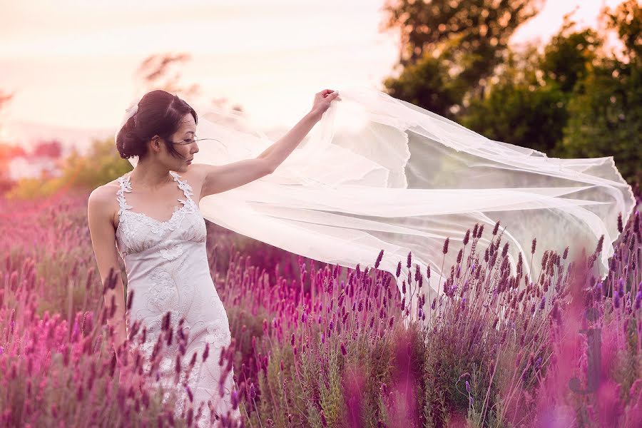 Photographe de mariage Jo-Ann Stokes (stokes). Photo du 2 juillet 2014