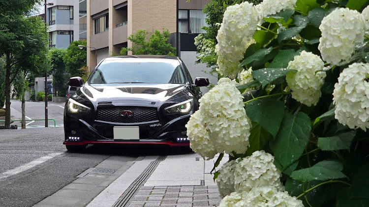 スカイラインのいつもイイね＆コメントありがとうございます😆・紫陽花と愛車・グラフェンに関するカスタム事例の投稿画像1枚目